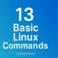13 Basic Linux Commands