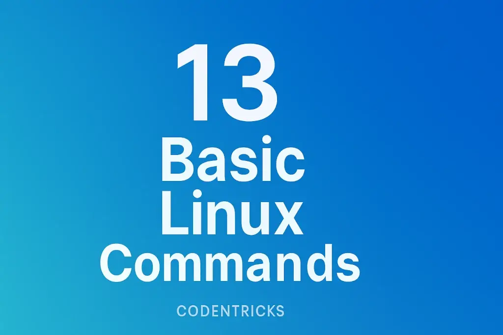 13 Basic Linux Commands